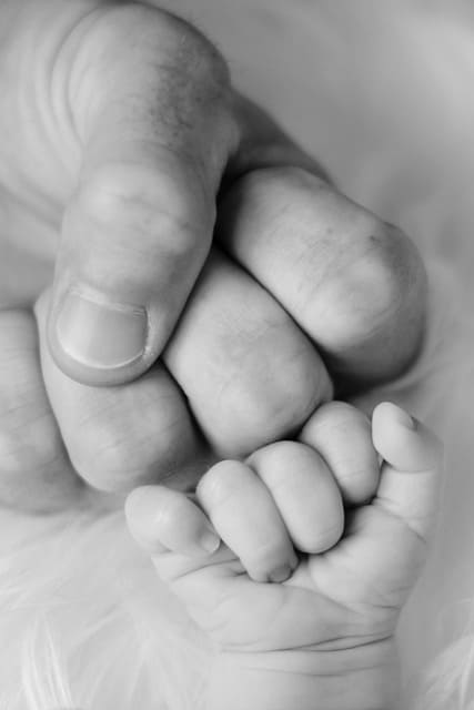 Terapia de familia psicologo para terapia familiar